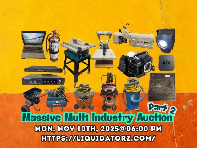 Massive Multi Industry Auction Part 2